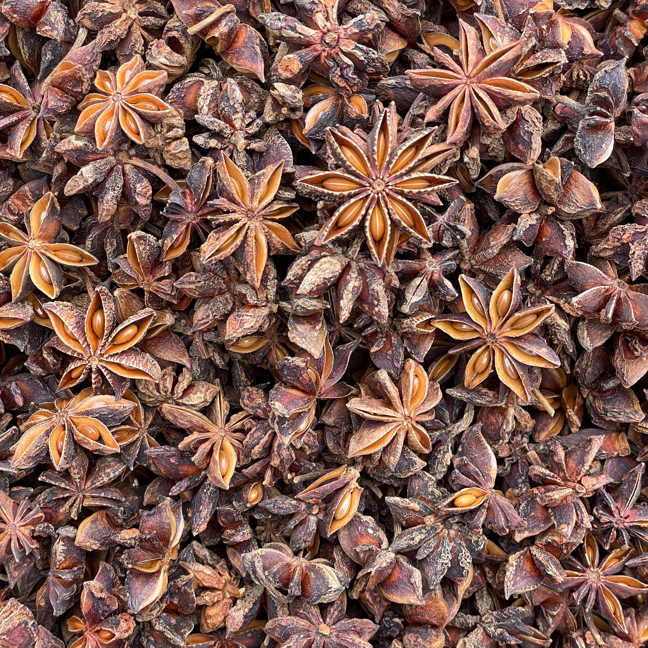  Star Anise