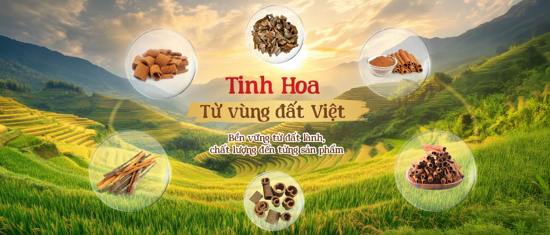 Hợp tác xã Quế Khánh Thành